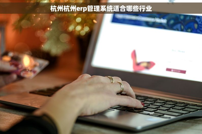 杭州杭州erp管理系统适合哪些行业