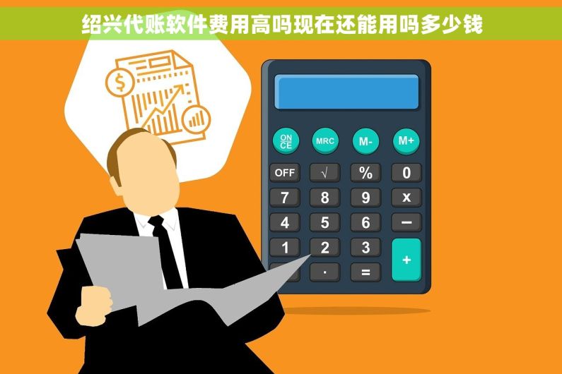绍兴代账软件费用高吗现在还能用吗多少钱