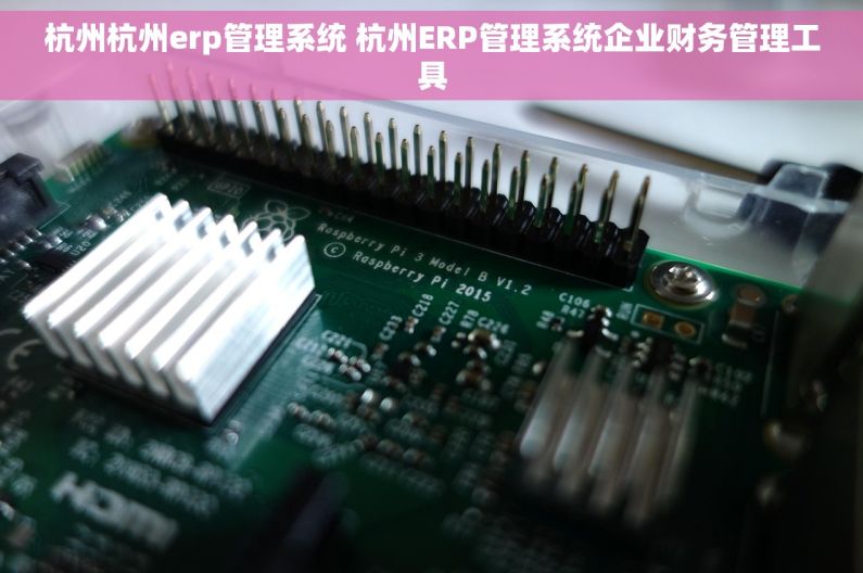 杭州杭州erp管理系统 杭州ERP管理系统企业财务管理工具