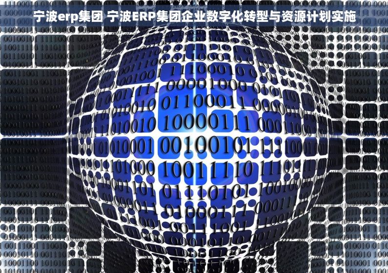 宁波erp集团 宁波ERP集团企业数字化转型与资源计划实施