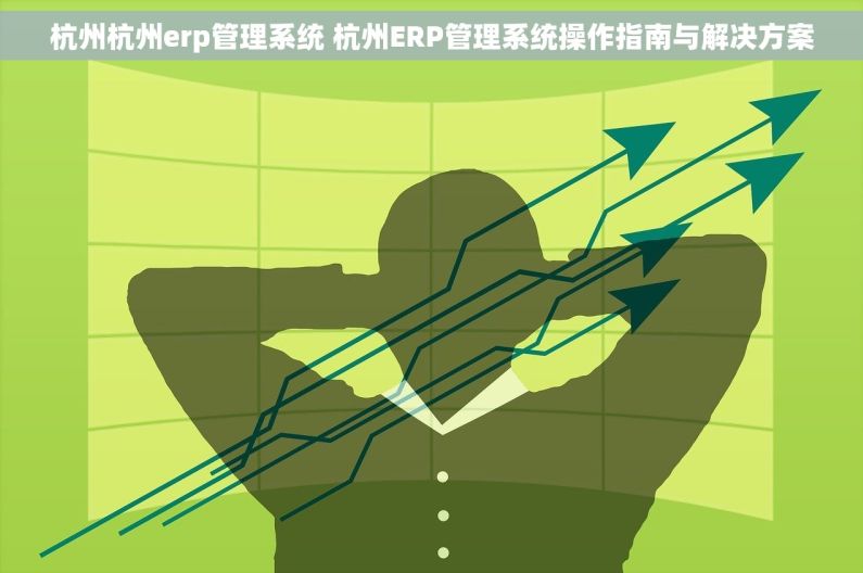 杭州杭州erp管理系统 杭州ERP管理系统操作指南与解决方案