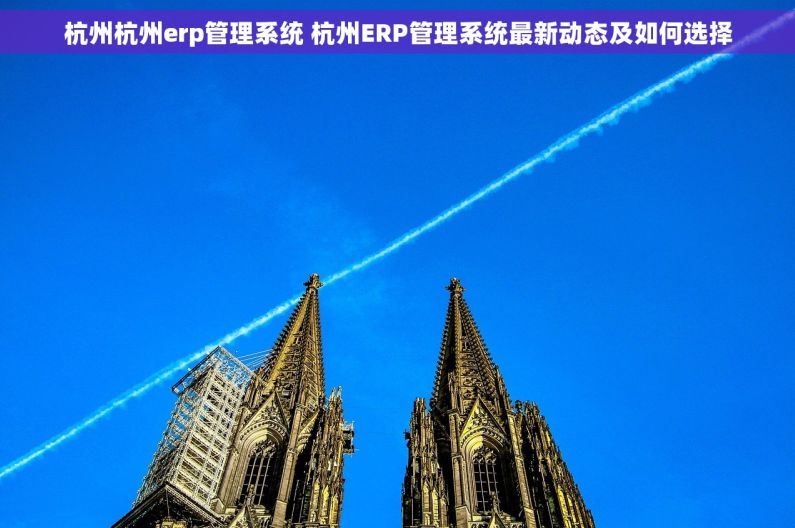 杭州杭州erp管理系统 杭州ERP管理系统最新动态及如何选择