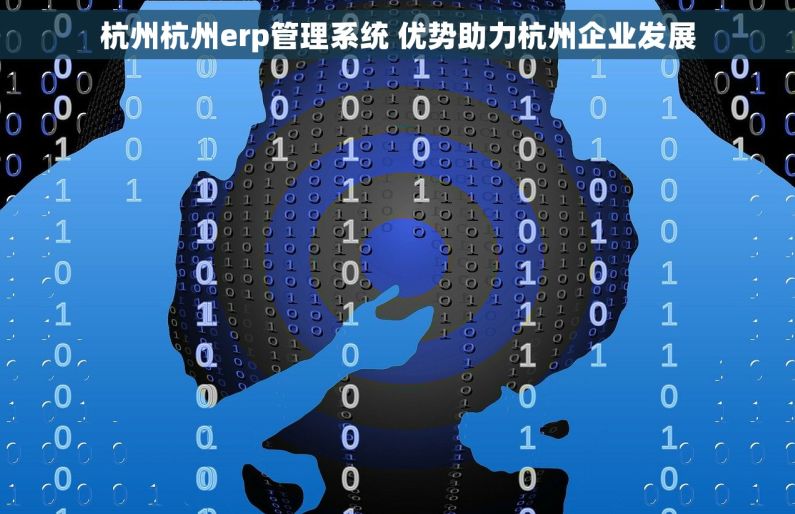 杭州杭州erp管理系统 优势助力杭州企业发展