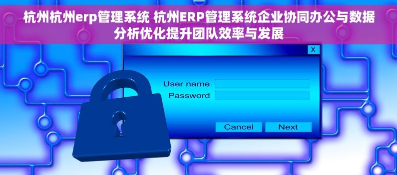 杭州杭州erp管理系统 杭州ERP管理系统企业协同办公与数据分析优化提升团队效率与发展