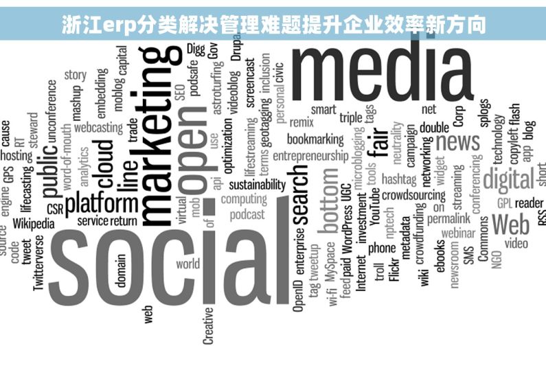 浙江erp分类解决管理难题提升企业效率新方向