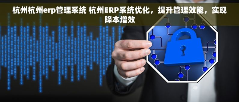 杭州杭州erp管理系统 杭州ERP系统优化，提升管理效能，实现降本增效