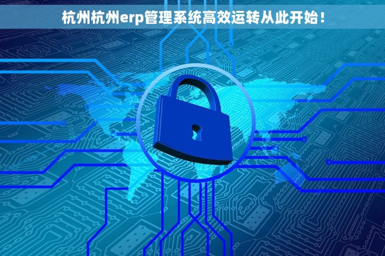 杭州杭州erp管理系统高效运转从此开始！