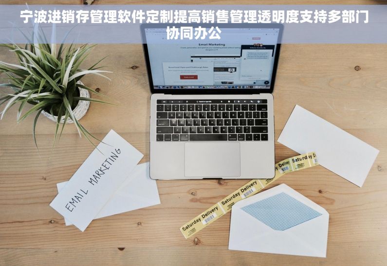宁波进销存管理软件定制提高销售管理透明度支持多部门协同办公