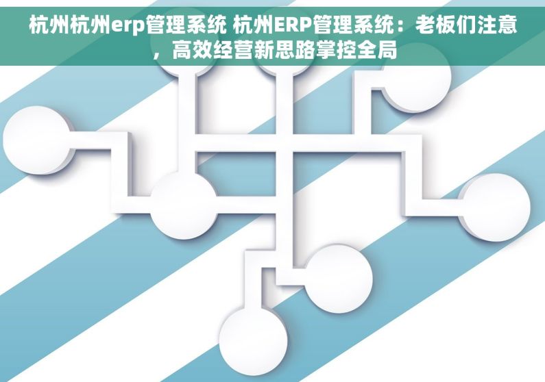 杭州杭州erp管理系统 杭州ERP管理系统：老板们注意，高效经营新思路掌控全局
