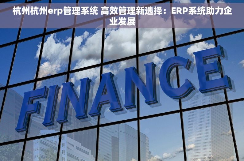杭州杭州erp管理系统 高效管理新选择：ERP系统助力企业发展