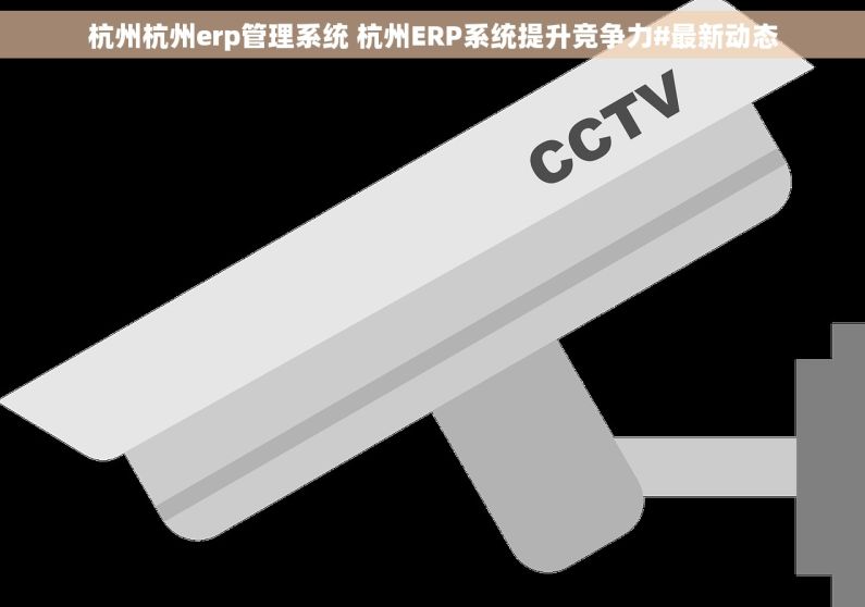 杭州杭州erp管理系统 杭州ERP系统提升竞争力#最新动态