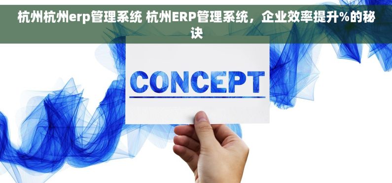 杭州杭州erp管理系统 杭州ERP管理系统，企业效率提升%的秘诀