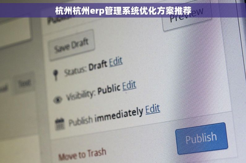 杭州杭州erp管理系统优化方案推荐