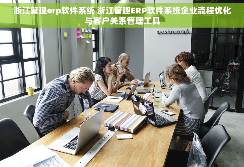 浙江管理erp软件系统 浙江管理ERP软件系统企业流程优化与客户关系管理工具