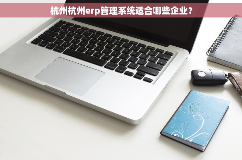 杭州杭州erp管理系统适合哪些企业？