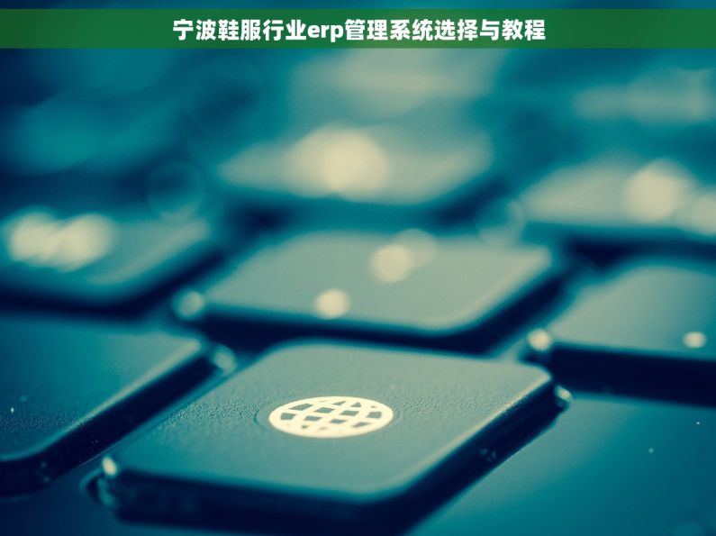 宁波鞋服行业erp管理系统选择与教程