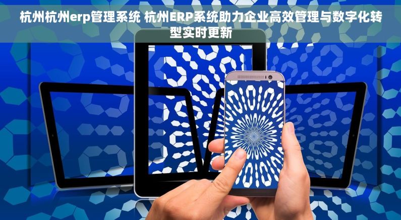杭州杭州erp管理系统 杭州ERP系统助力企业高效管理与数字化转型实时更新