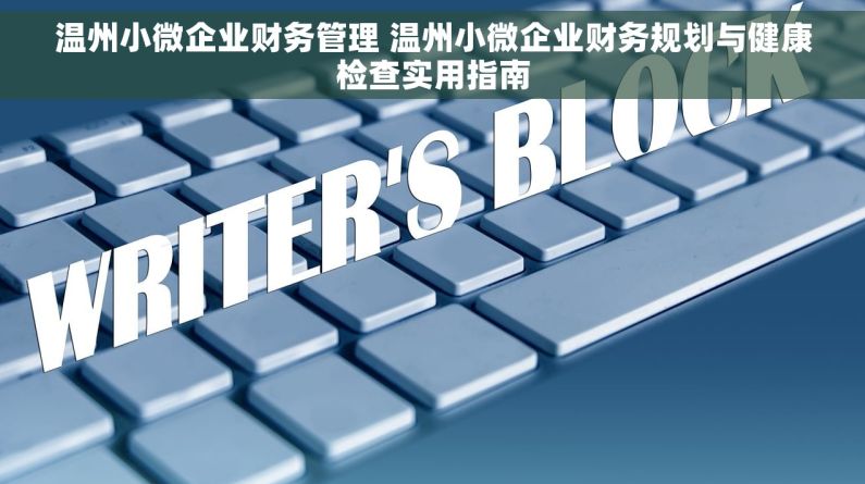 温州小微企业财务管理 温州小微企业财务规划与健康检查实用指南