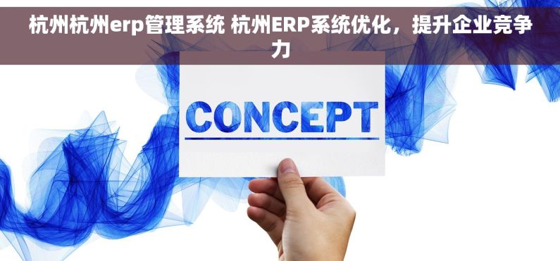 杭州杭州erp管理系统 杭州ERP系统优化，提升企业竞争力
