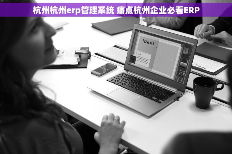 杭州杭州erp管理系统 痛点杭州企业必看ERP