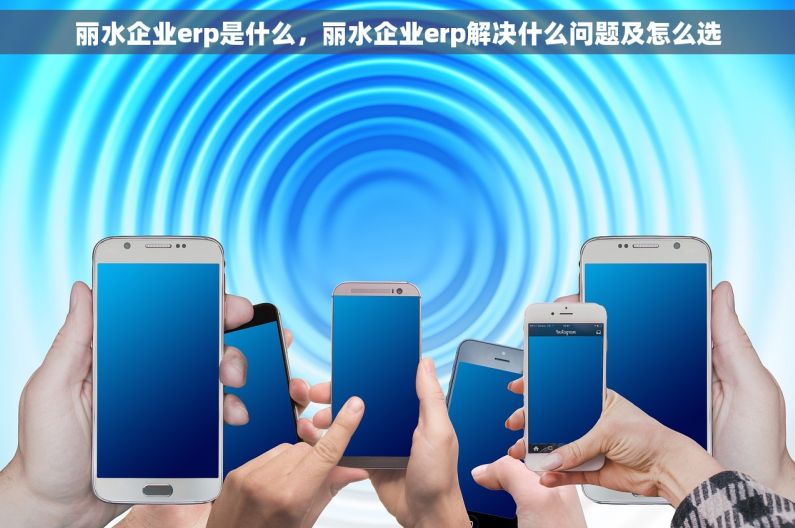 丽水企业erp是什么，丽水企业erp解决什么问题及怎么选
