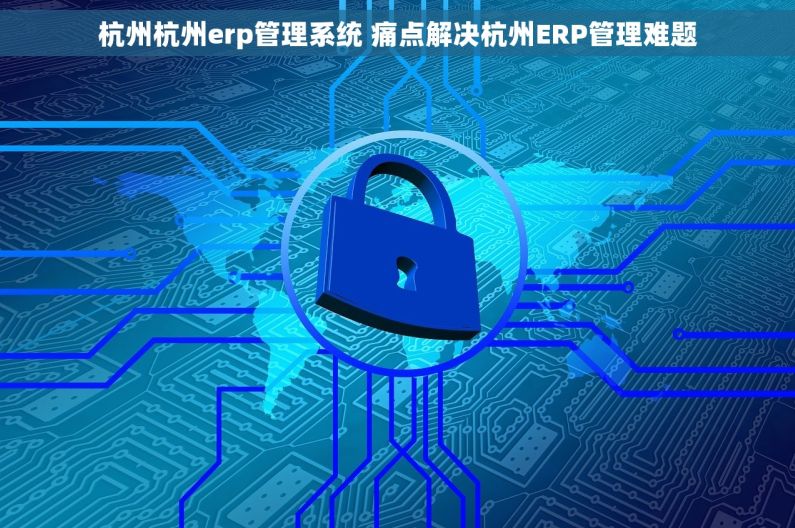 杭州杭州erp管理系统 痛点解决杭州ERP管理难题