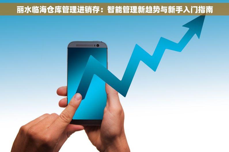 丽水临海仓库管理进销存：智能管理新趋势与新手入门指南
