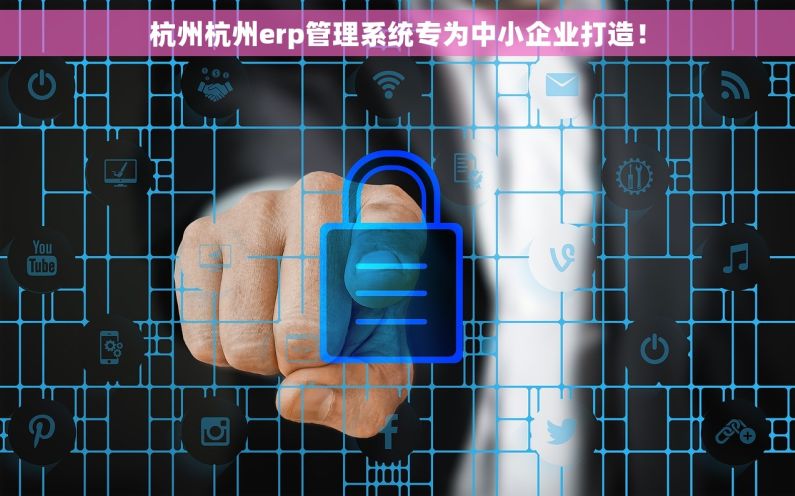杭州杭州erp管理系统专为中小企业打造！