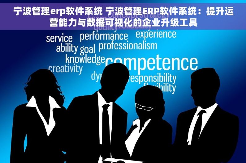 宁波管理erp软件系统 宁波管理ERP软件系统：提升运营能力与数据可视化的企业升级工具