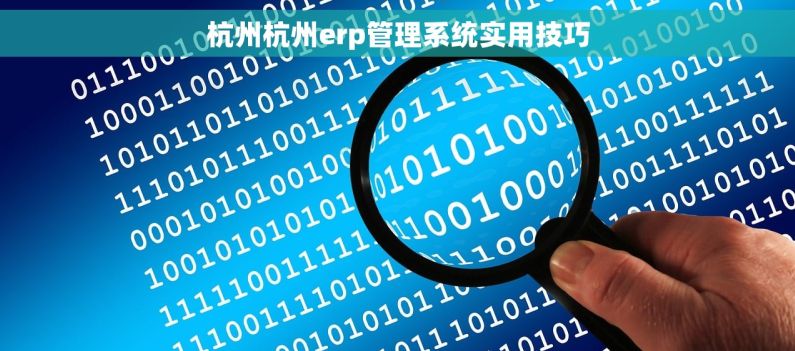 杭州杭州erp管理系统实用技巧