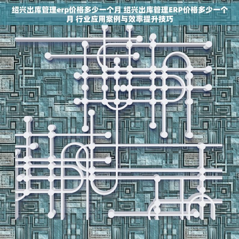 绍兴出库管理erp价格多少一个月 绍兴出库管理ERP价格多少一个月 行业应用案例与效率提升技巧