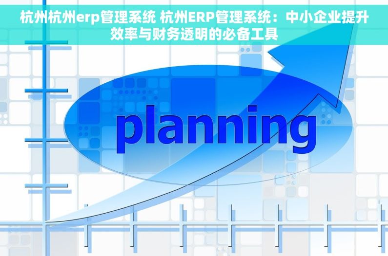 杭州杭州erp管理系统 杭州ERP管理系统：中小企业提升效率与财务透明的必备工具