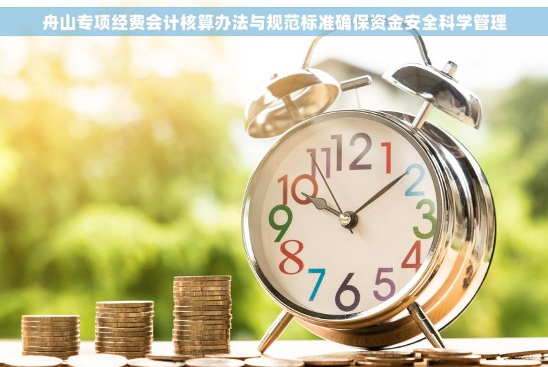 舟山专项经费会计核算办法与规范标准确保资金安全科学管理