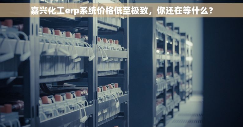 嘉兴化工erp系统价格低至极致，你还在等什么？