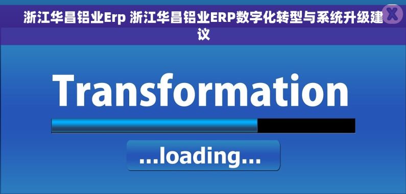 浙江华昌铝业Erp 浙江华昌铝业ERP数字化转型与系统升级建议