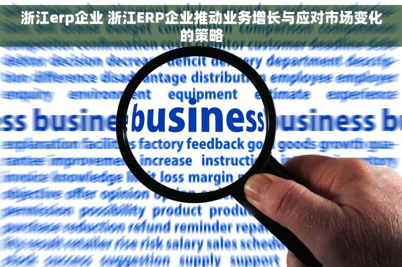 浙江erp企业 浙江ERP企业推动业务增长与应对市场变化的策略