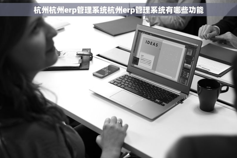 杭州杭州erp管理系统杭州erp管理系统有哪些功能
