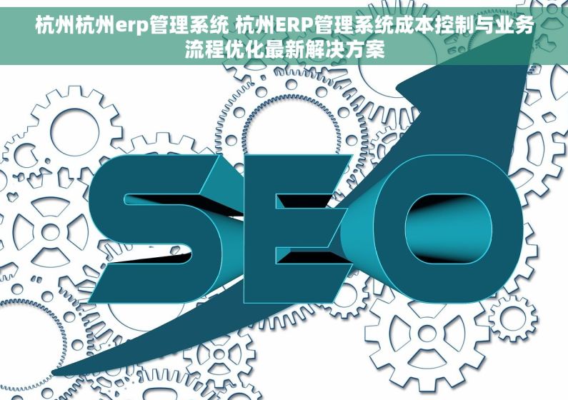 杭州杭州erp管理系统 杭州ERP管理系统成本控制与业务流程优化最新解决方案