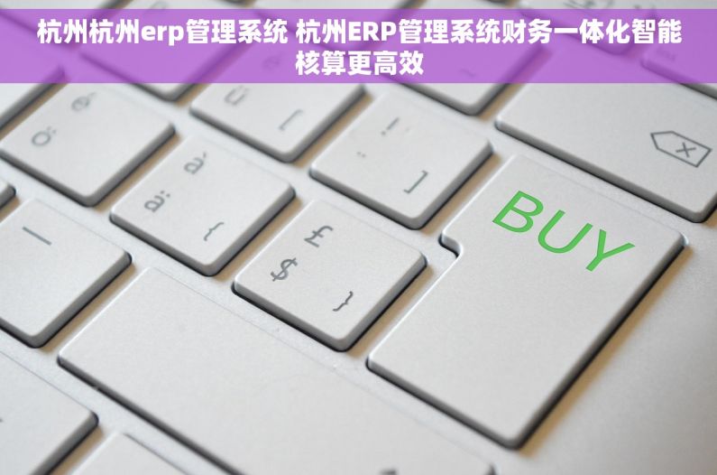 杭州杭州erp管理系统 杭州ERP管理系统财务一体化智能核算更高效