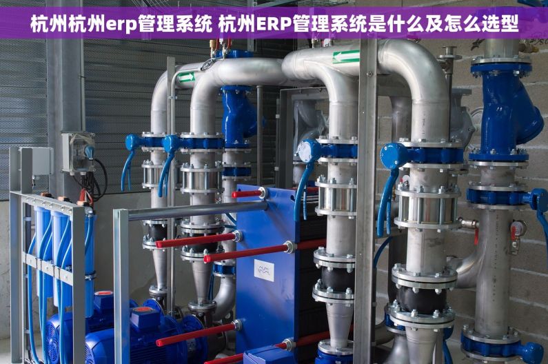 杭州杭州erp管理系统 杭州ERP管理系统是什么及怎么选型