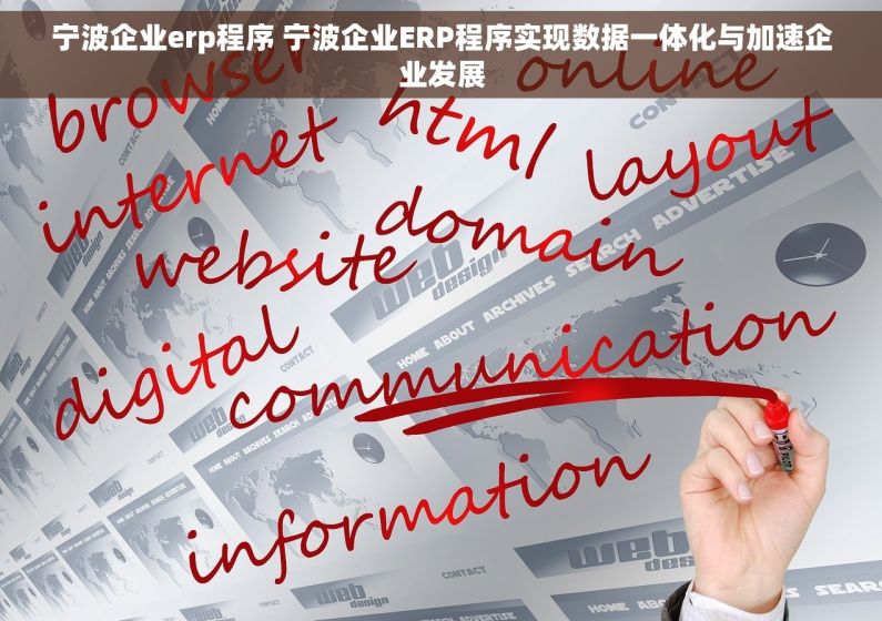 宁波企业erp程序 宁波企业ERP程序实现数据一体化与加速企业发展