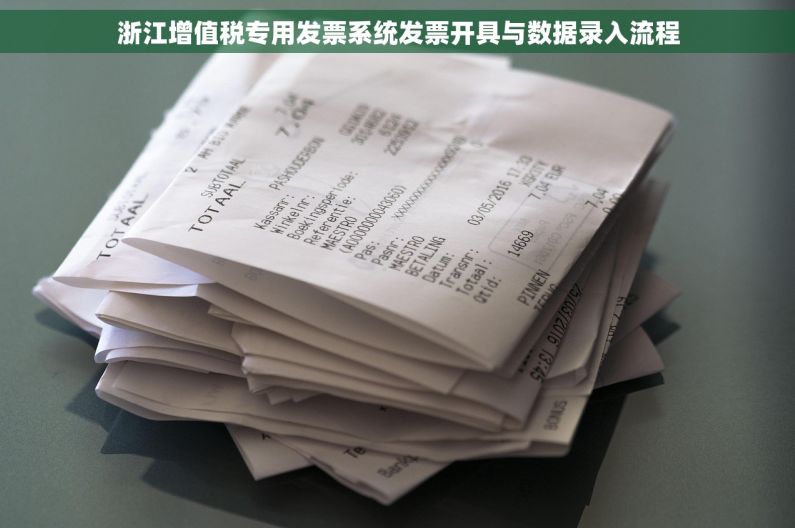 浙江增值税专用发票系统发票开具与数据录入流程