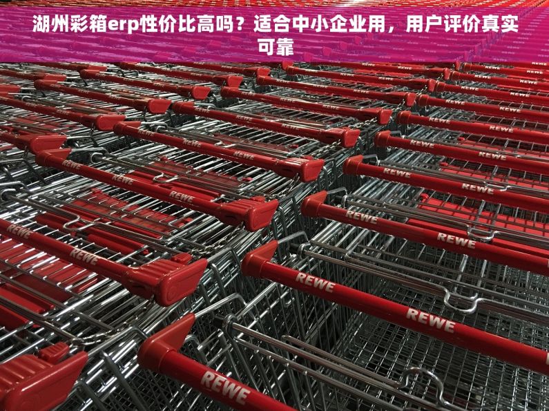 湖州彩箱erp性价比高吗？适合中小企业用，用户评价真实可靠