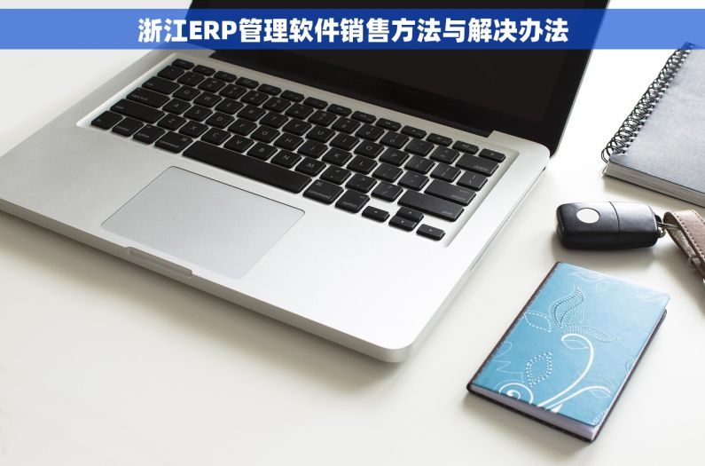 浙江ERP管理软件销售方法与解决办法