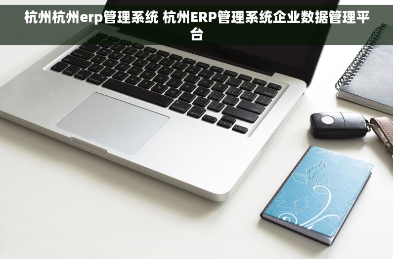 杭州杭州erp管理系统 杭州ERP管理系统企业数据管理平台