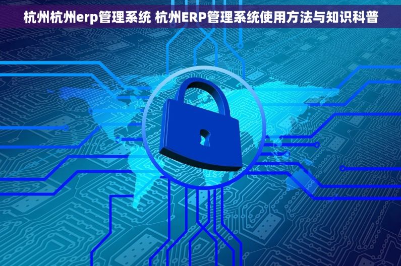 杭州杭州erp管理系统 杭州ERP管理系统使用方法与知识科普