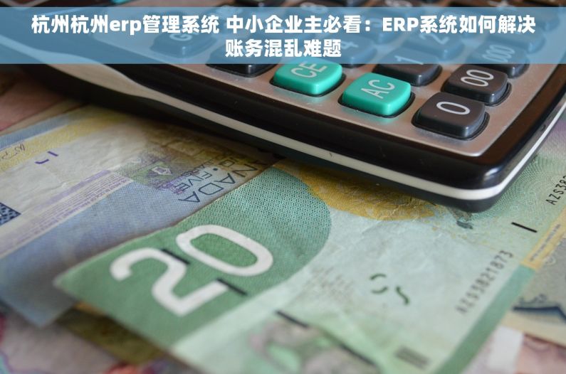 杭州杭州erp管理系统 中小企业主必看：ERP系统如何解决账务混乱难题