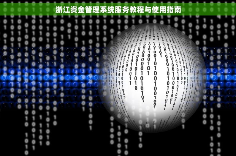 浙江资金管理系统服务教程与使用指南