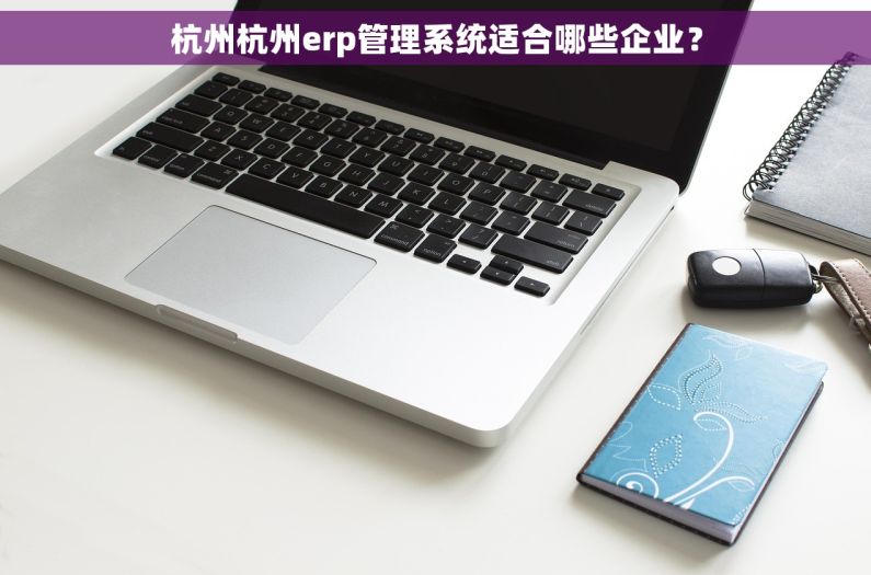 杭州杭州erp管理系统适合哪些企业？