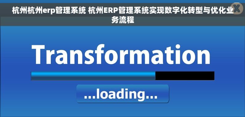 杭州杭州erp管理系统 杭州ERP管理系统实现数字化转型与优化业务流程